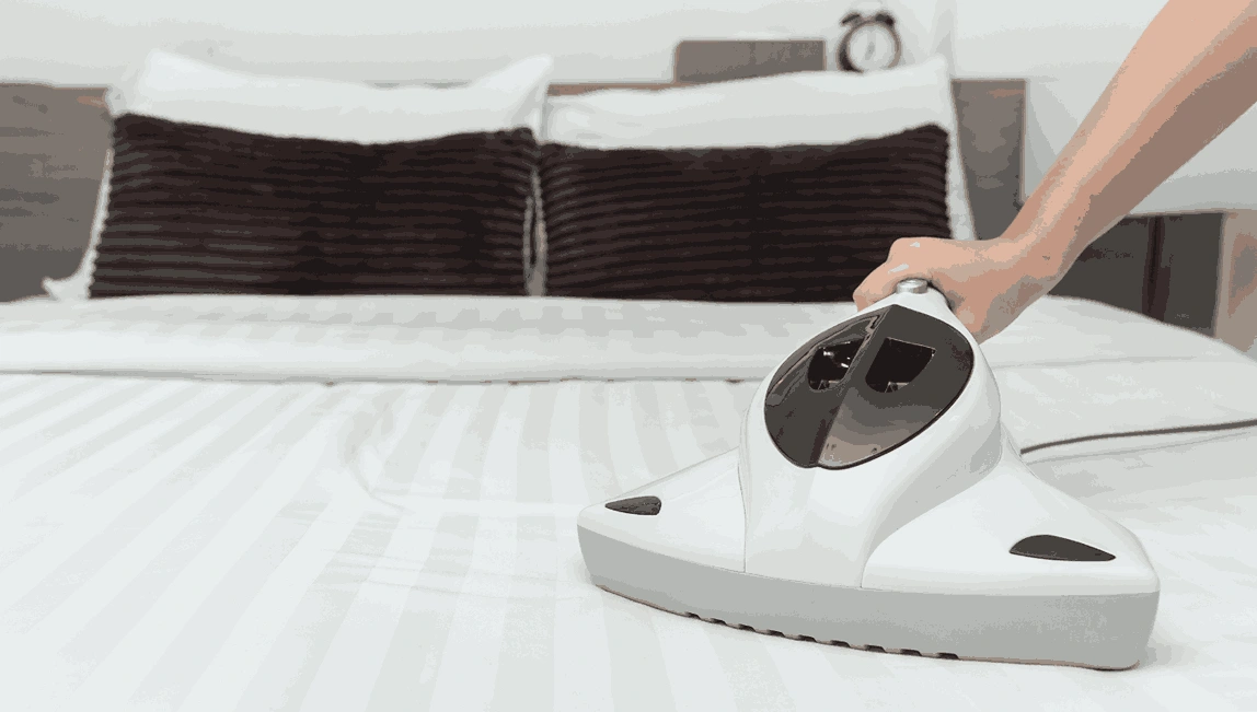 Professional Mattress Cleaning Bonbeach
